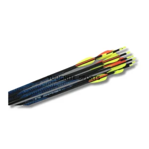 Avalon classic carbon arrow