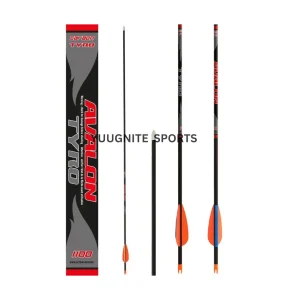 Avalon tyro arrow
